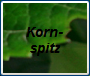 clip0207